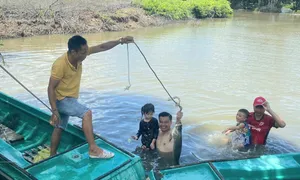 Nuôi tôm làm du lịch trong rừng đước Nuôi tôm làm du lịch trong rừng đước