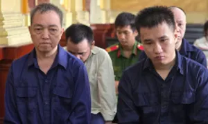 Sản xuất hàng loạt thuốc kháng sinh bằng bột năng Sản xuất hàng loạt thuốc kháng sinh bằng bột năng