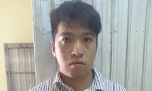 Trộm 23 cây mai kiểng đem về nhà trọ